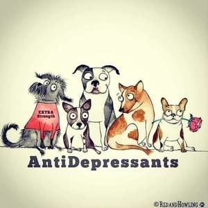 Meet your Posher, Charlie